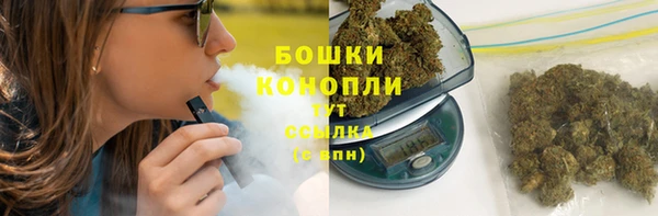 ПСИЛОЦИБИНОВЫЕ ГРИБЫ Весьегонск