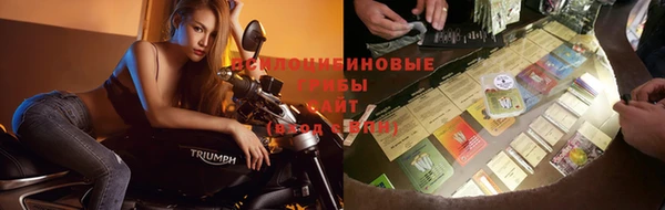 стаф Елизово