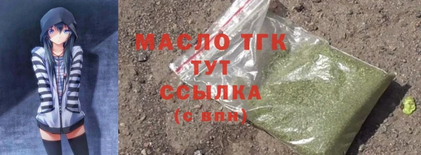 стаф Елизово