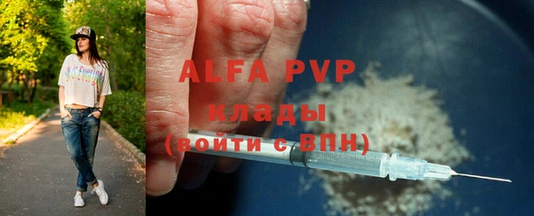 стаф Елизово