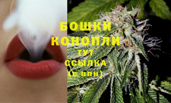 спайс Ельня