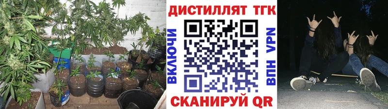 купить   Звенигород  Дистиллят ТГК гашишное масло 