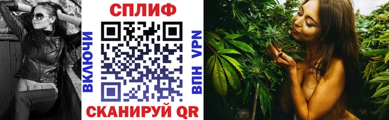 где найти наркотики  Звенигород  Бошки Шишки Amnesia 